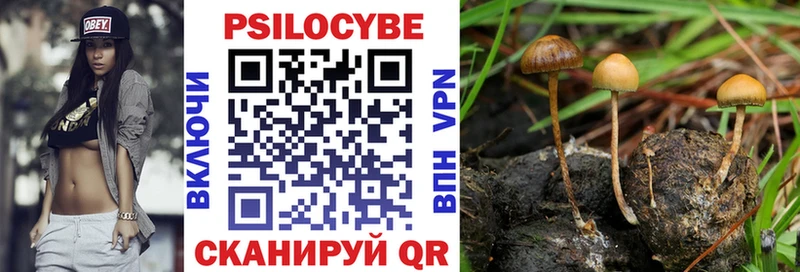 Галлюциногенные грибы MAGIC MUSHROOMS  где купить наркоту  Заринск 