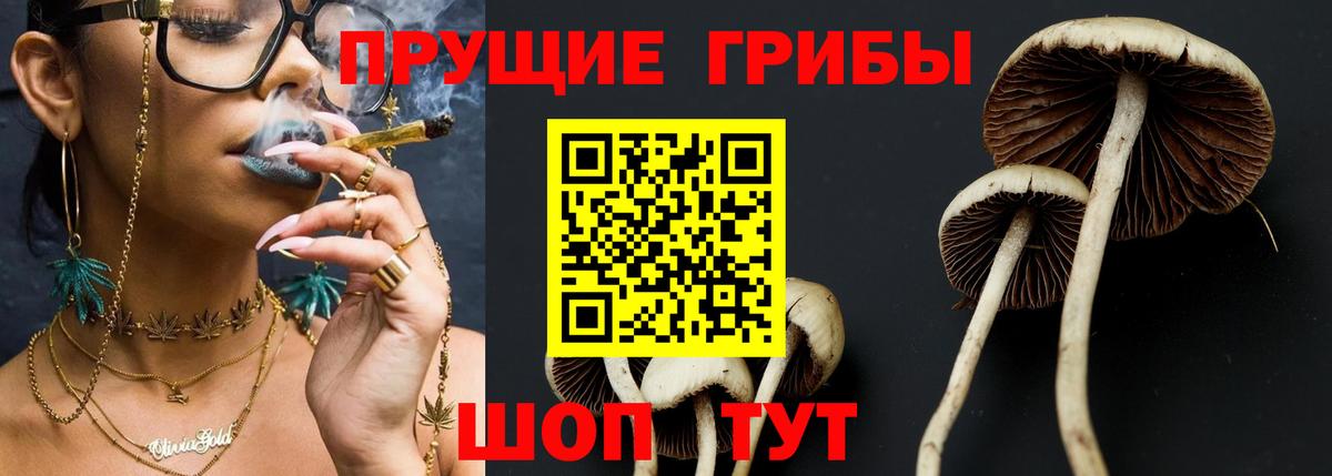 Заринск  Псилоцибиновые грибы Psilocybine cubensis  как найти   Вход с VPN  Галлюциногенные грибы Psilocybe 